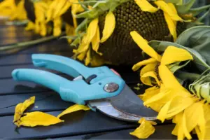 Noisy Gardening Tool